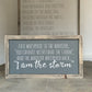 I Am The Storm | Framed Wood Sign | #BrainTumourResearch - The Imperfect Wood Company - Framed Wood Sign